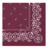 Francouzský šátek Bandana Silk 50 Francouzský šátek Bandana Silk 50